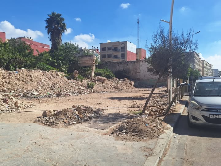 574063392_1313269424177114_3861284157637409797_n